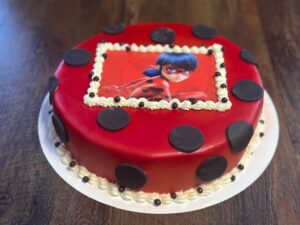LadyBug